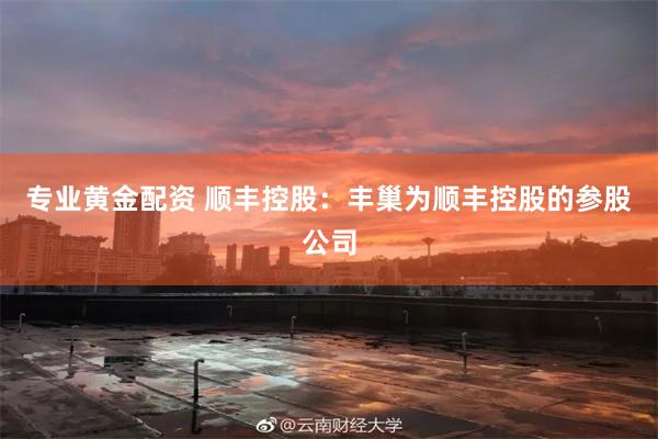 专业黄金配资 顺丰控股：丰巢为顺丰控股的参股公司