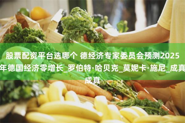 股票配资平台选哪个 德经济专家委员会预测2025年德国经济零增长_罗伯特·哈贝克_莫妮卡·施尼_成真