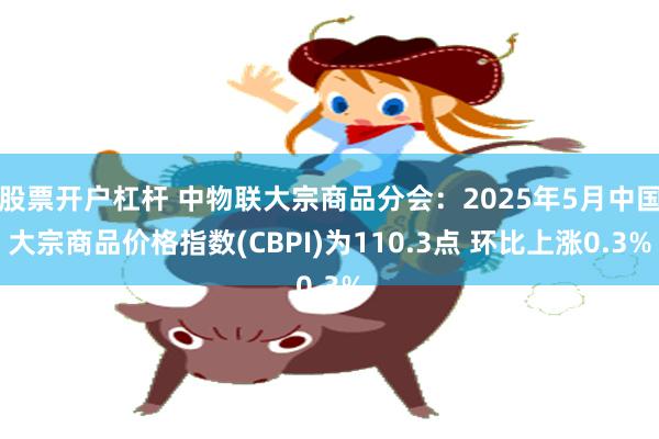 股票开户杠杆 中物联大宗商品分会：2025年5月中国大宗商品价格指数(CBPI)为110.3点 环比上涨0.3%